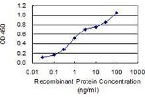 Detection limit for recombinant GST tagged DEDD is 0. (DEDD anticorps  (AA 91-190))