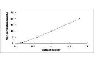 Neuropeptide Y Receptor Y1 (NPY1R) ELISA Kit