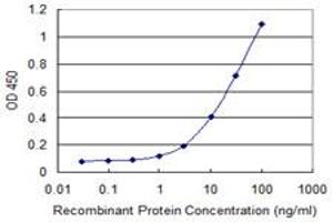 Detection limit for recombinant GST tagged PCDH10 is 0.