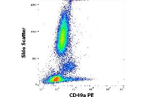 Flow cytometry surface staining pattern of human peripheral whole blood stained using anti-human CD49a (TS2/7) PE antibody (10 μL reagent / 100 μL of peripheral whole blood). (Integrin alpha 1 anticorps  (PE))