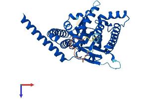 AlphaFold protein structure predicition of Human Recombinant LPGAT1 Protein, UniprotID Q92604