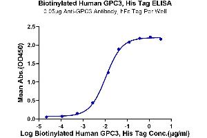 Immobilized Anti-GPC3 Antibody, hFc Tag at 0.