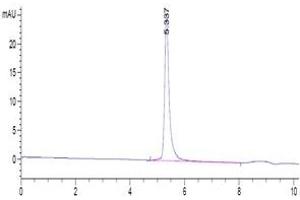The purity of 2019-nCoV Spike S is greater than 95 % as determined by SEC-HPLC.