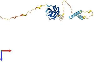 AlphaFold protein structure predicition of Human Recombinant MOSPD3 Protein, UniprotID O75425