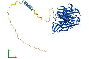 AlphaFold protein structure predicition of Human Recombinant CANT1 Protein, UniprotID Q8WVQ1