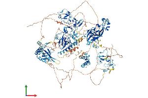 AlphaFold protein structure predicition of Mouse Recombinant Nsd2 Protein, UniprotID Q8BVE8