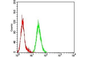 Flow cytometric analysis of Hela cells using MAPK9 mouse mAb (green) and negative control (red).