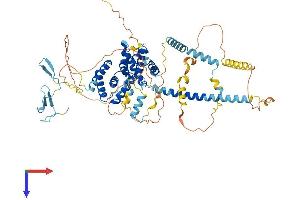 AlphaFold protein structure predicition of Mouse Recombinant Brf1 Protein, UniprotID Q8CFK2