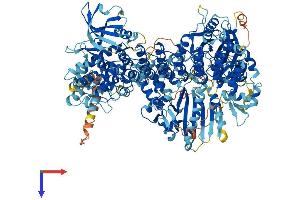 AlphaFold protein structure predicition of Human Recombinant DAPK1 Protein, UniprotID P53355