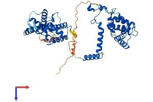 AlphaFold protein structure predicition of Human Recombinant RGS11 Protein, UniprotID O94810