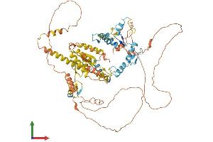 AlphaFold protein structure predicition of Human Recombinant ZBTB16 Protein, UniprotID Q05516