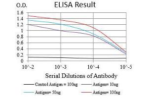 Black line: Control Antigen (100 ng), Purple line: Antigen(10 ng), Blue line: Antigen (50 ng), Red line: Antigen (100 ng),