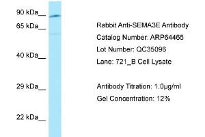 Western Blotting (WB) image for anti-Sema Domain, Immunoglobulin Domain (Ig), Short Basic Domain, Secreted, (Semaphorin) 3E (SEMA3E) (C-Term) antibody (ABIN2789847) (SEMA3E anticorps  (C-Term))
