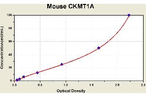 Diagramm of the ELISA kit to detect Mouse CKMT1Awith the optical density on the x-axis and the concentration on the y-axis.