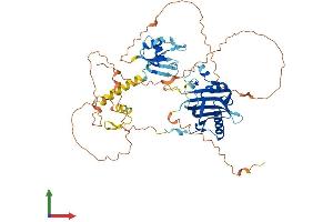 AlphaFold protein structure predicition of Human Recombinant NXF3 Protein, UniprotID Q9H4D5