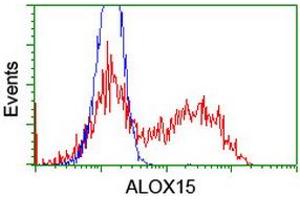 HEK293T cells transfected with either RC206621 overexpress plasmid (Red) or empty vector control plasmid (Blue) were immunostained by anti-ALOX15 antibody (ABIN2455497), and then analyzed by flow cytometry. (ALOX15 anticorps)