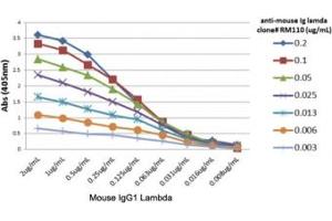 ELISA titer: the plate was coated with different amounts of mouse IgG1, lambda. (Recombinant Lapin anti-Souris lambda Light Chain (Lambda-IgLC) Anticorps)