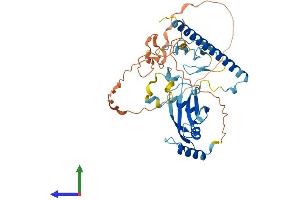 AlphaFold protein structure predicition of Human Recombinant RASSF5 Protein, UniprotID Q8WWW0