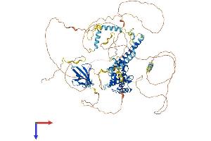 AlphaFold protein structure predicition of Human Recombinant AXIN1 Protein, UniprotID O15169