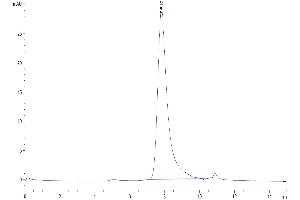 The purity of Mouse B7-H5/Gi24/VISTA is greater than 95 % as determined by SEC-HPLC.