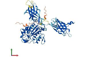 AlphaFold protein structure predicition of Mouse Recombinant Cpne4 Protein, UniprotID Q8BLR2