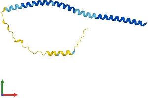 AlphaFold protein structure predicition of Human Recombinant VAMP4 Protein, UniprotID O75379