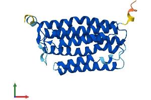 AlphaFold protein structure predicition of Mouse Recombinant Mmd Protein, UniprotID Q9CQY7