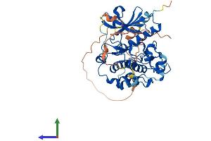 AlphaFold protein structure predicition of Human Recombinant STRADA Protein, UniprotID Q7RTN6