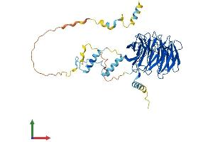 AlphaFold protein structure predicition of Mouse Recombinant Cdc20 Protein, UniprotID Q9JJ66