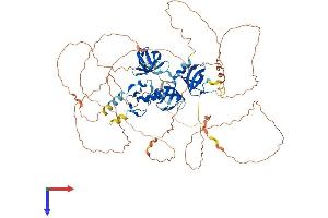 AlphaFold protein structure predicition of Mouse Recombinant Sh3rf2 Protein, UniprotID Q8BZT2