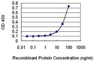 Detection limit for recombinant GST tagged AHNAK2 is 1 ng/ml as a capture antibody. (AHNAK2 anticorps  (AA 5527-5636))