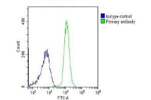 Overlay histogram showing K562 cells stained with (ABIN6242964 and ABIN6578647) (green line).