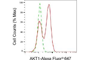 Flow cytometric analysis of AKT1 expression in C2C12 cells using AKT1 antibody (ABIN7800780), 1:2,000).