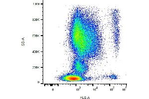 Flow cytometry analysis (surface staining) of CD193 in human peripheral blood with anti-human CD193 (5E8) purified, GAM-APC. (CCR3 anticorps)
