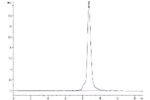 The purity of Cynomolgus/Rhesus macaque B7-H4 is greater than 95 % as determined by SEC-HPLC.
