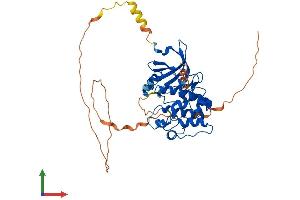 AlphaFold protein structure predicition of Human Recombinant AURKA Protein, UniprotID O14965
