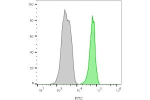 Flow cytometry analysis of lymphocyte gated PBMCs unstained (gray) or stained with CF488A-labeled CD45 monoclonal antibody (135-4C5) (green).