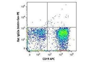 Flow Cytometry (FACS) image for anti-Syndecan 1 (SDC1) antibody (Biotin) (ABIN2660748) (Syndecan 1 anticorps  (Biotin))