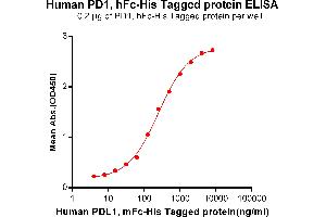 ELISA plate pre-coated by 2 μg/mL (100 μL/well) Human PD1, hFc-His tagged protein (ABIN6961149, ABIN7042327 and ABIN7042328) can bind Human , mFc-His tagged protein ABIN6961096, ABIN7042221 and ABIN7042222 in a linear range of 62.