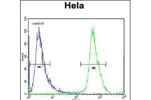NUP35 Antibody (C-term) (ABIN656791 and ABIN2846010) flow cytometric analysis of Hela cells (right histogram) compared to a negative control cell (left histogram). (NUP35 anticorps  (C-Term))