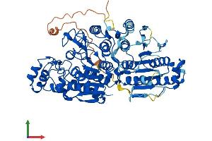 AlphaFold protein structure predicition of Human Recombinant HDAC10 Protein, UniprotID Q969S8
