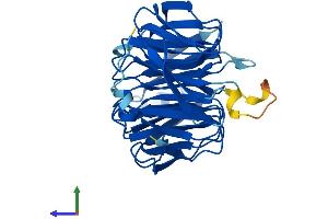 AlphaFold protein structure predicition of Human Recombinant EIF3I Protein, UniprotID Q13347