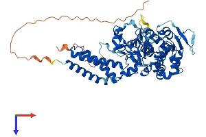 AlphaFold protein structure predicition of Mouse Recombinant Nt5dc3 Protein, UniprotID Q3UHB1