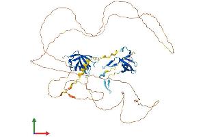 AlphaFold protein structure predicition of Human Recombinant COIL Protein, UniprotID P38432