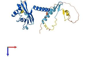 AlphaFold protein structure predicition of Human Recombinant MED6 Protein, UniprotID O75586