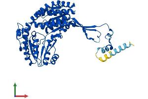 AlphaFold protein structure predicition of Mouse Recombinant Aldh3a2 Protein, UniprotID P47740