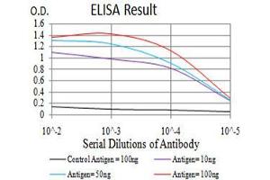 Black line: Control Antigen (100 ng), Purple line: Antigen(10 ng), Blue line: Antigen (50 ng), Red line: Antigen (100 ng), (BMP4 anticorps  (AA 277-408))