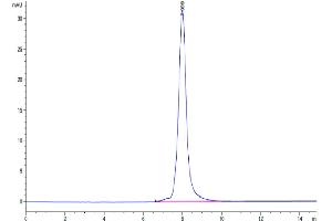 The purity of Cynomolgus LILRB1 is greater than 95 % as determined by SEC-HPLC.