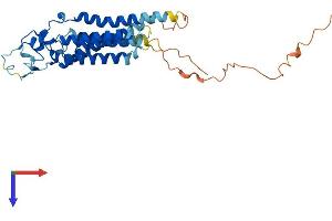 AlphaFold protein structure predicition of Human Recombinant PLPPR1 Protein, UniprotID Q8TBJ4