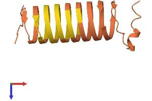 AlphaFold protein structure predicition of Mouse Recombinant Krtap6-2 Protein, UniprotID O08884